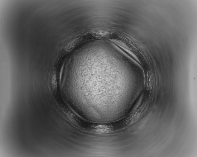 X0000093160562200710171212