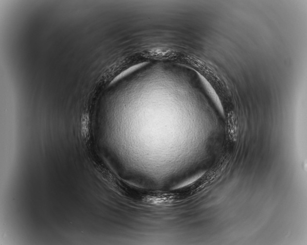 X0000093160563200710171212