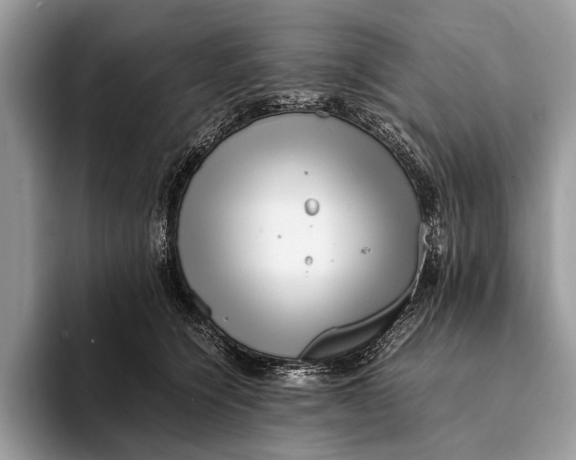 X0000093160564200710171212