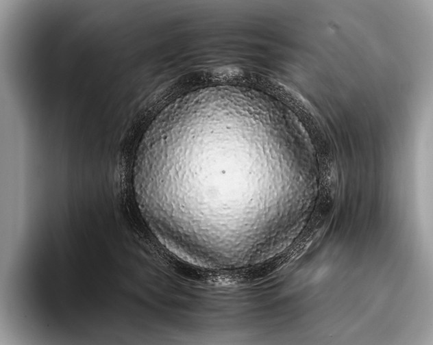 X0000093160565200710171212