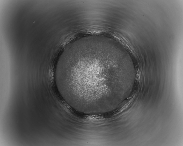 X0000093160568200710171212