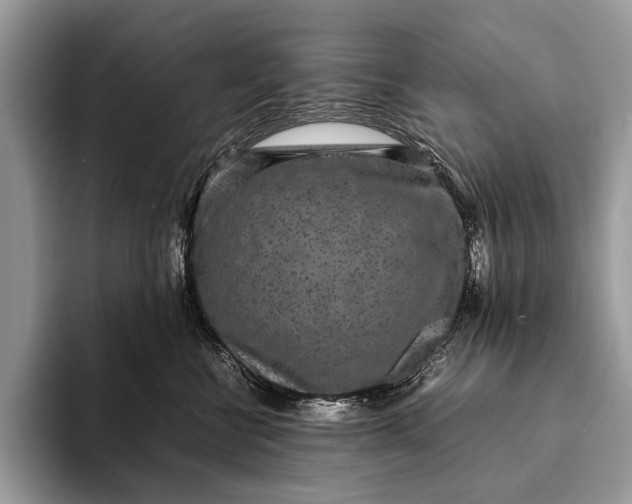 X0000093160570200710171212