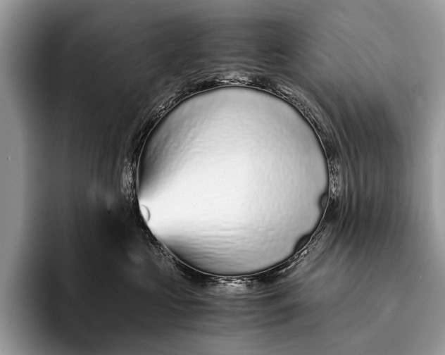 X0000093160573200710171212