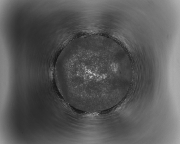 X0000093160576200710171212