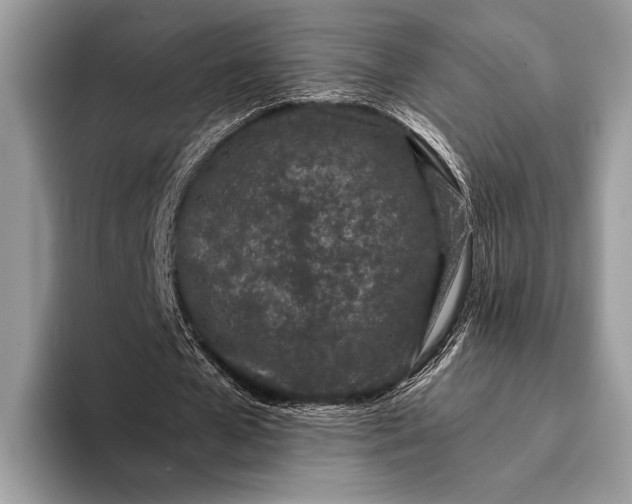 X0000093160577200710171211