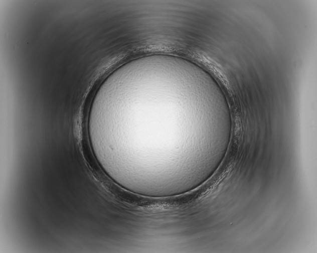 X0000093160578200710171211