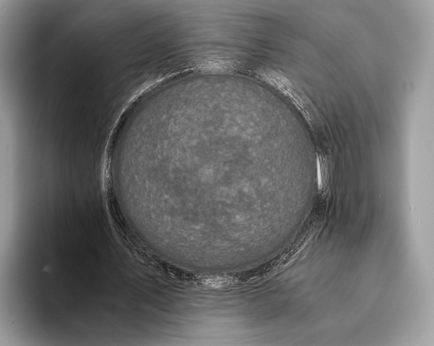 X0000093160579200710171211