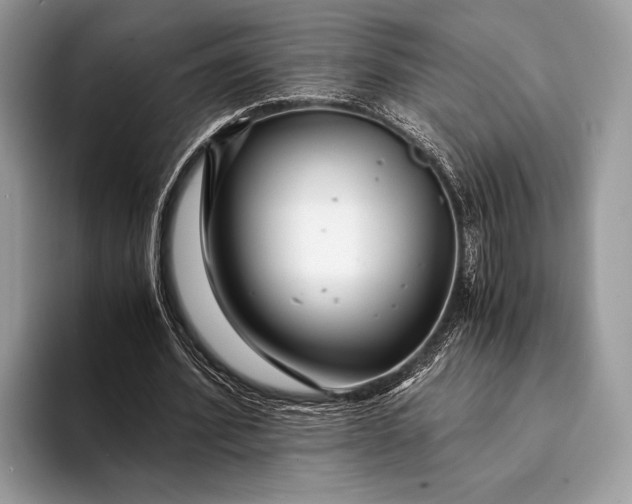 X0000093160580200710171211