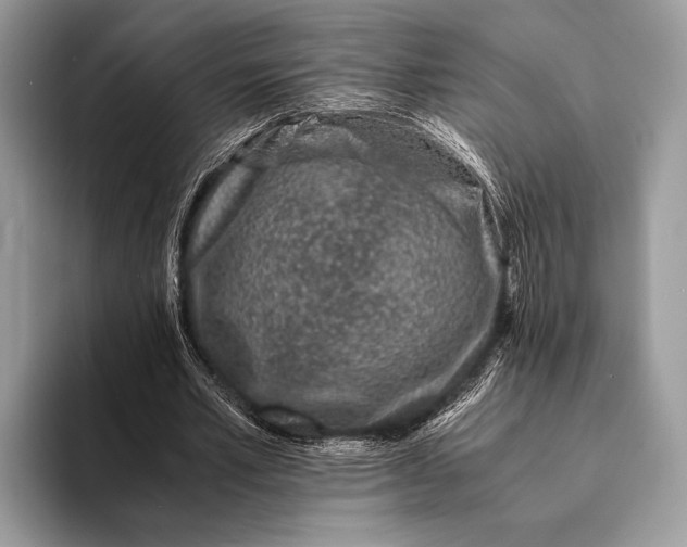 X0000093160581200710171211