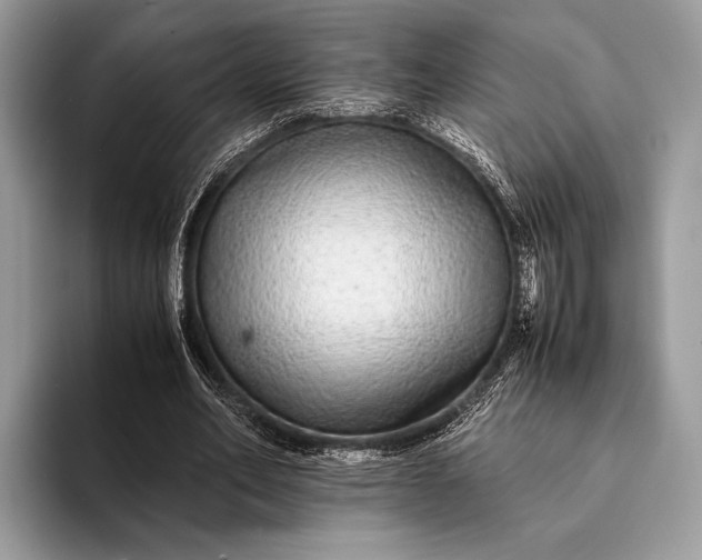 X0000093160582200710171211