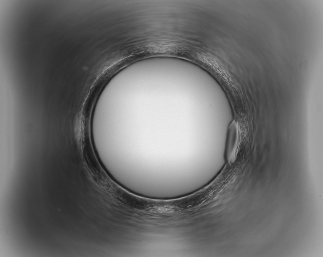 X0000093160583200710171211