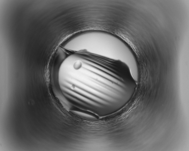 X0000093160584200710171211
