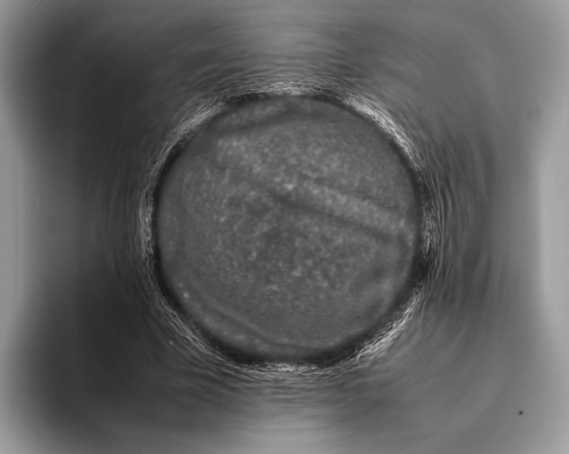 X0000093160585200710171211