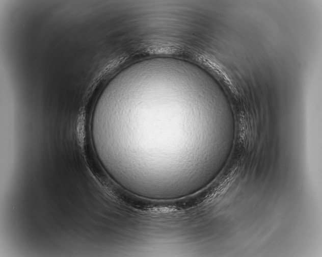 X0000093160586200710171211