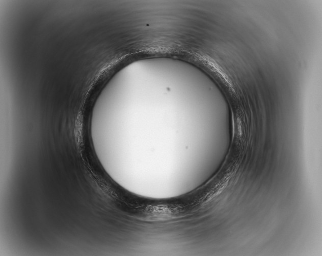 X0000093160588200710171211