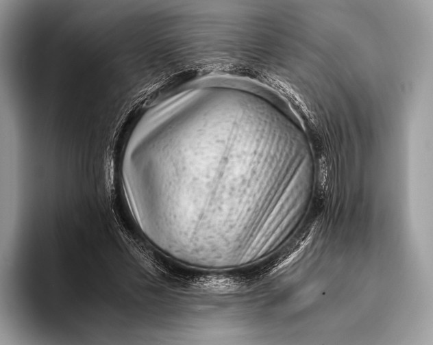 X0000093160589200710171211