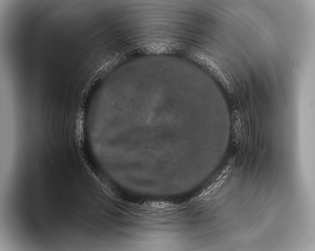 X0000093160590200710171211