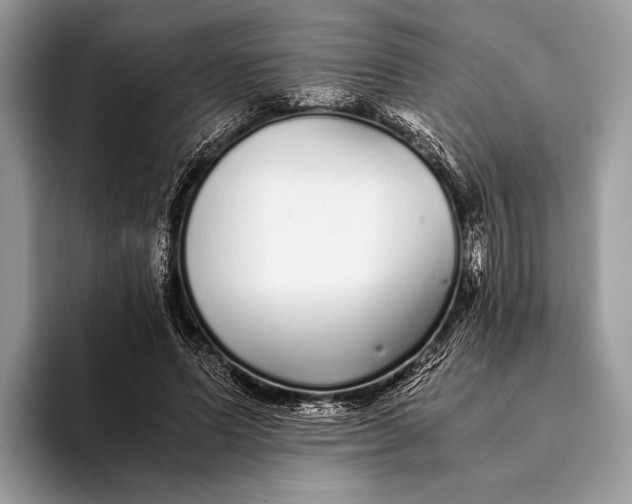 X0000093160591200710171211
