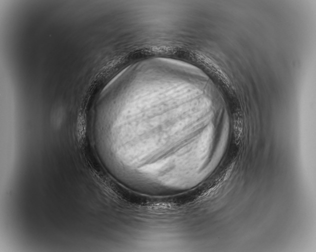 X0000093160593200710171211