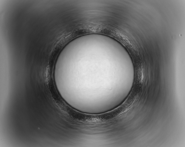 X0000093160594200710171211