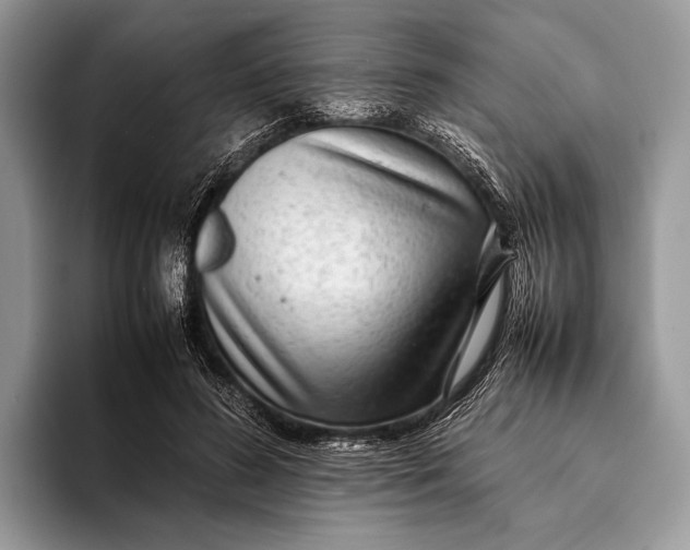 X0000093160596200710171211