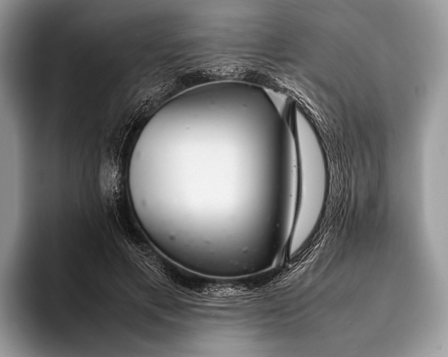 X0000093160597200710171211
