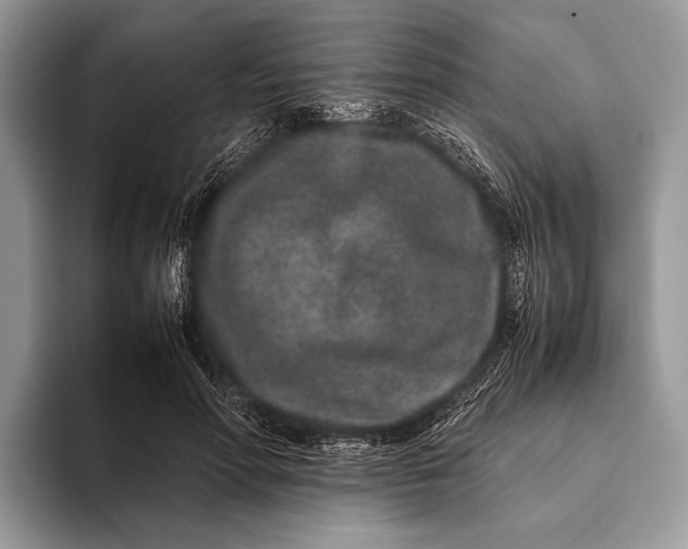 X0000093160598200710171211