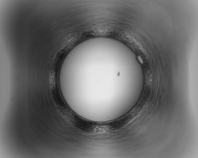 X0000093160599200710171211