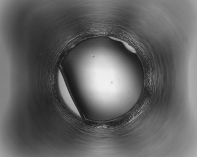 X0000093160600200710171211
