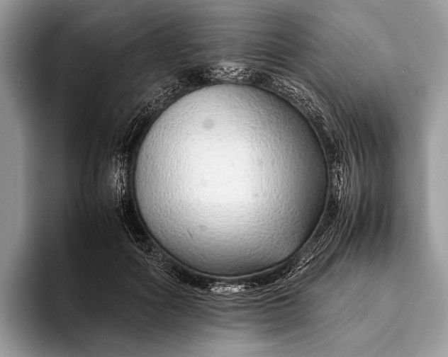 X0000093160602200710171211