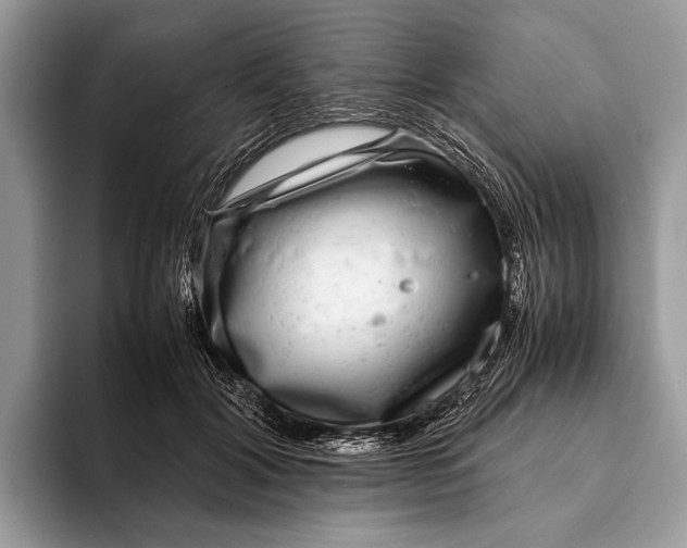 X0000093160604200710171211