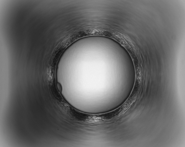 X0000093160607200710171211