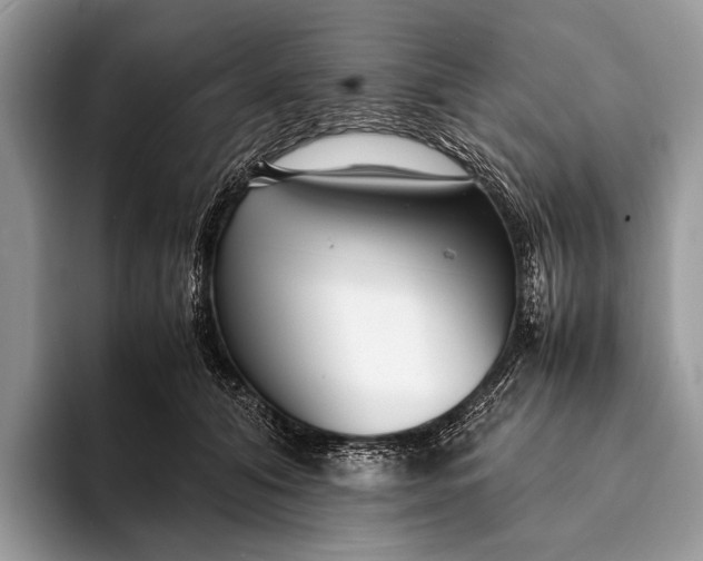 X0000093160608200710171211
