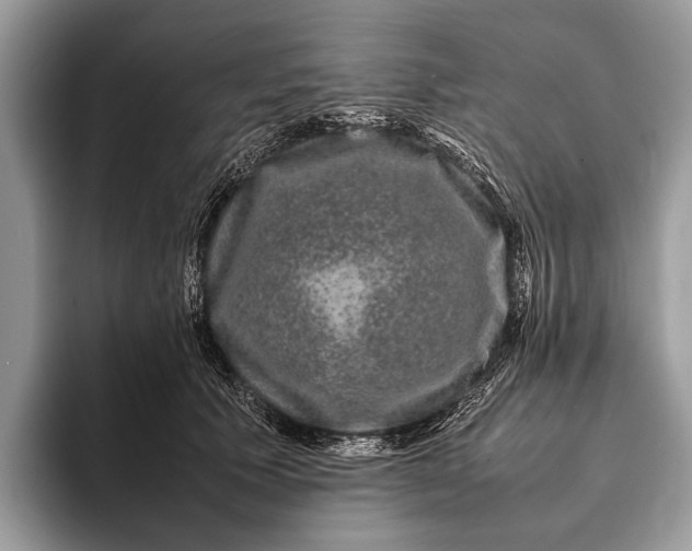 X0000093160609200710171211