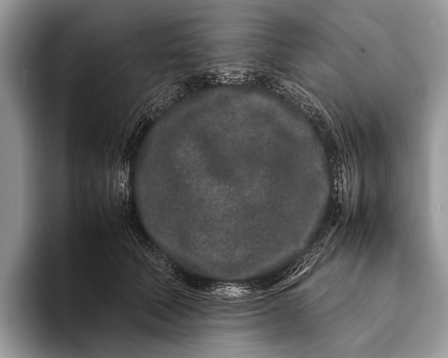 X0000093160610200710171211