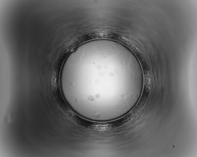 X0000093160615200710171211