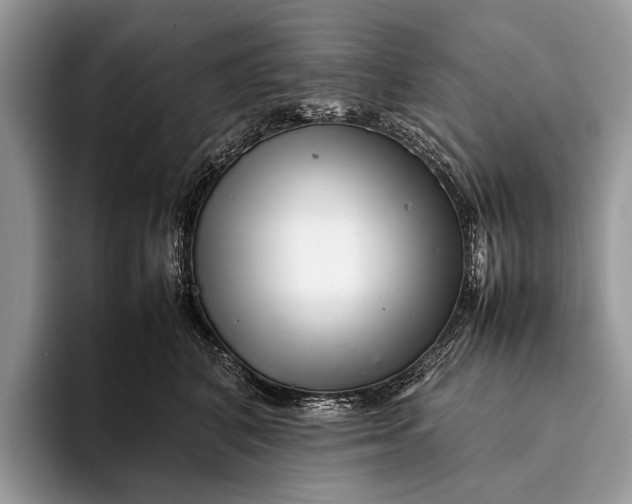 X0000093160616200710171211
