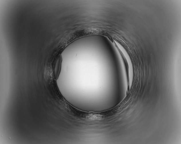 X0000093160617200710171211