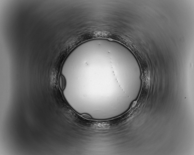 X0000093160619200710171211