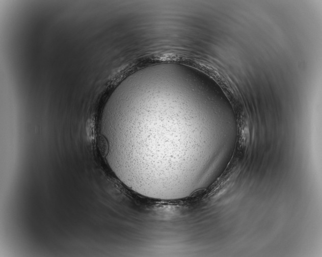 X0000093160620200710171211