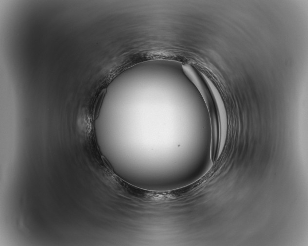 X0000093160621200710171211