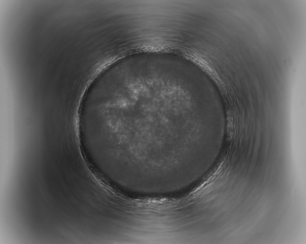 X0000093160626200710171210