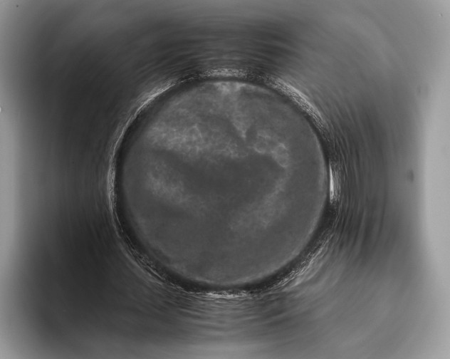 X0000093160627200710171210