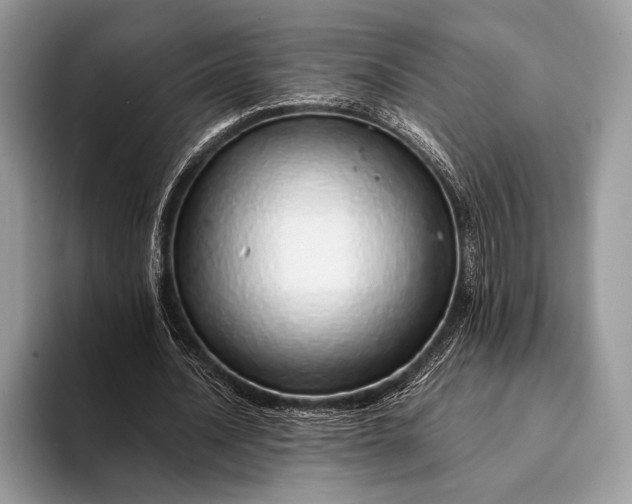 X0000093160628200710171210