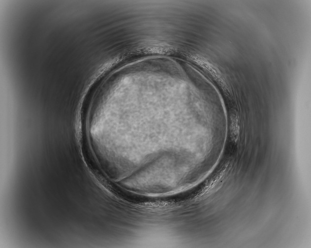 X0000093160630200710171210