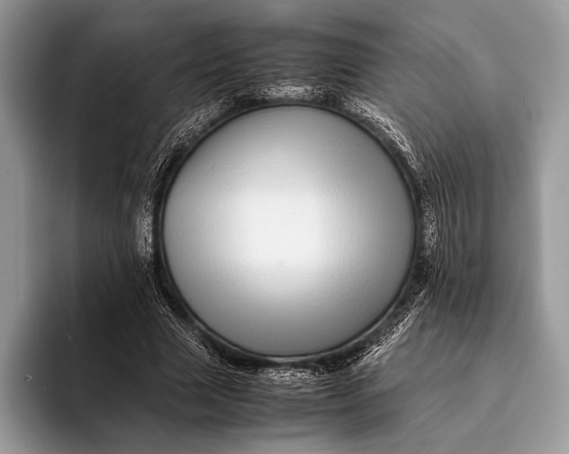 X0000093160633200710171210