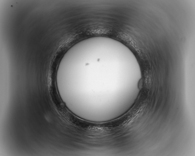 X0000093160635200710171210