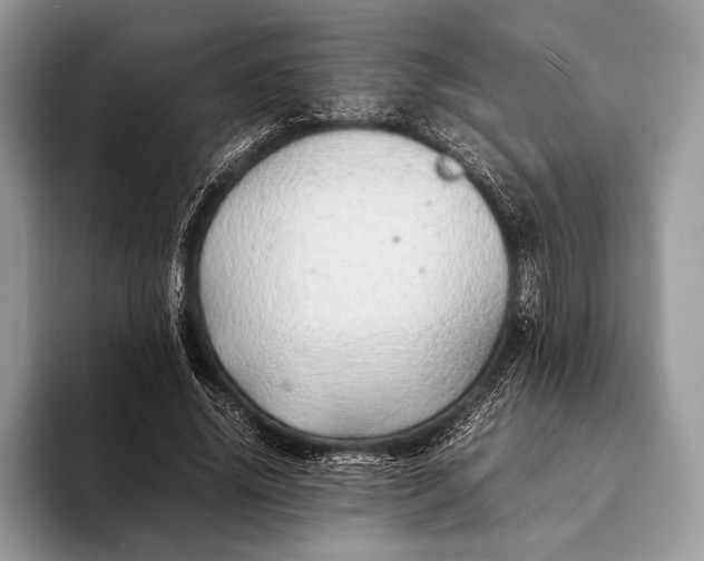 X0000093160636200710171210