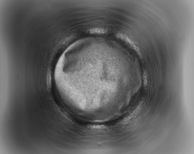 X0000093160637200710171210