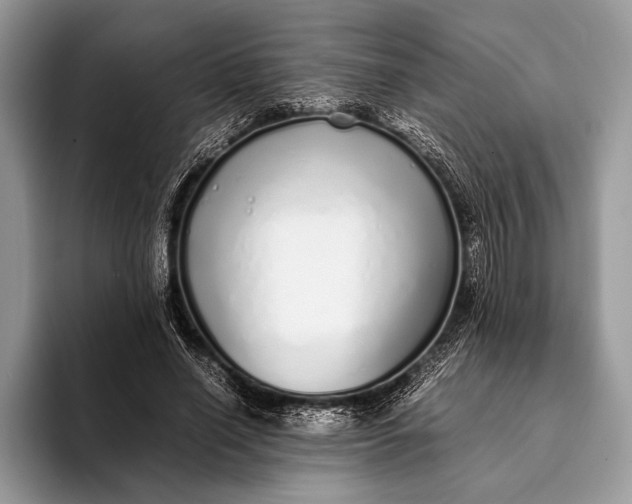 X0000093160638200710171210